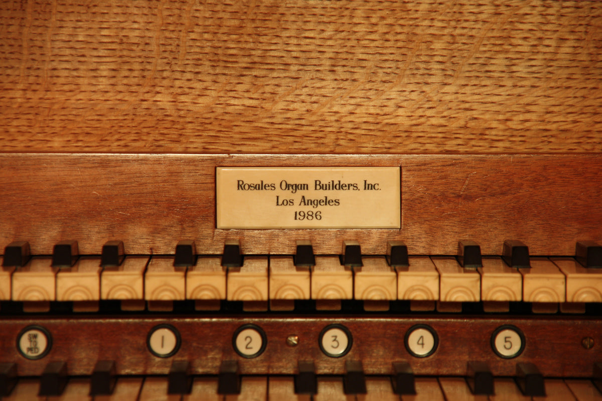 Rosales, 1987 [Oeuvre principale]
